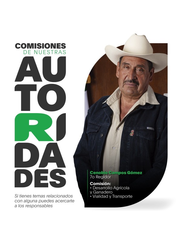 Regiduria 7